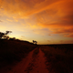 Illustration for article titled AWOL Around Australia... Part 42. East Arnhem Land. Part 2